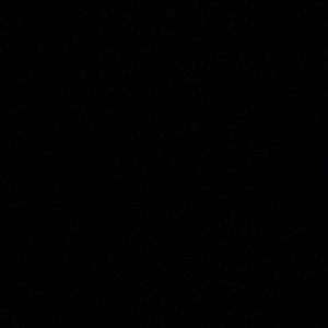 Meet your Posher, Giselle